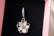 Pandora charm