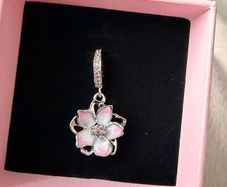 Pandora charm