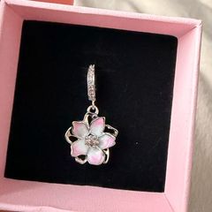 Pandora charm