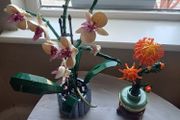 two lego botanical sets