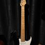 Fender Roland VG-G5 Image 2