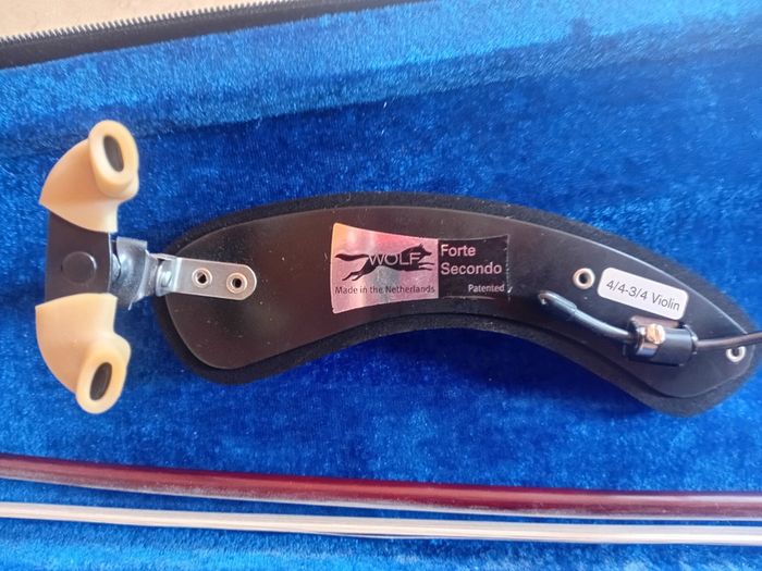 Stentor Violin