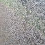 Granite Worktops Image 3