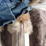 Simply Stunning  Build A Bear Winter Bear With Clothes And Accessories Image 6
