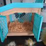 Little Live Pets Image 6
