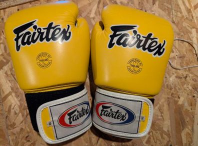 Fairtex 10oz Gloves