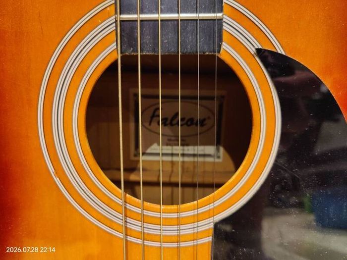 falcon guitar