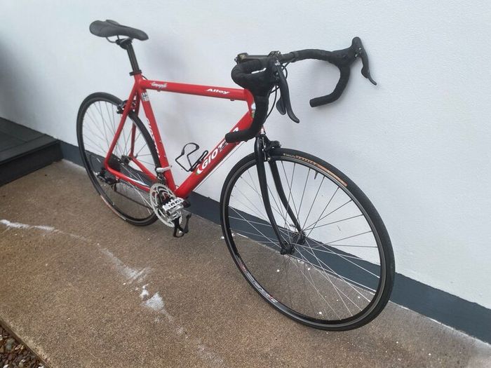 Giotto Road Bike