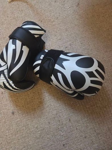 kickboxing  gloves