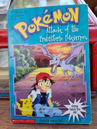Pokemon book bundle