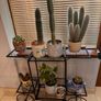 Metal Indoor or Outdoor Garden Bicycle (Free Delivery) Image 2