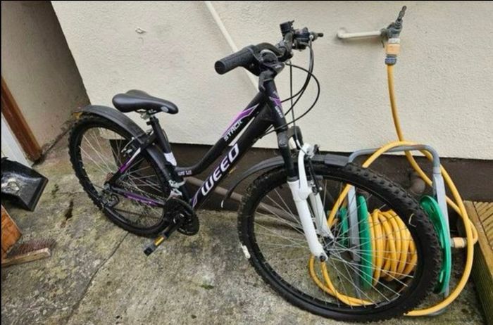Ladies bicycle