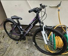 Ladies bicycle