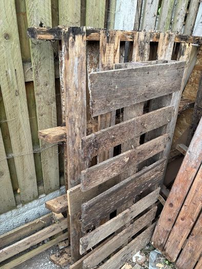 Free wood/timber for firewood