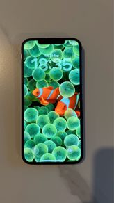 I phone 12 pro max