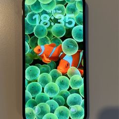 I phone 12 pro max