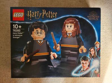 lego 76393 harry potter and hermion granger