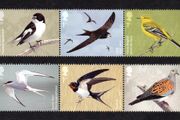 2022 Great Britain Fauna &amp; Flora Fauna - Migratory Birds Commemorative Stamps Mint Never Hinged (MNH)