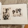 Rare Picturesque Fiji X 16 Sepia Photos Of Suva-fiji. In Good Condition.  See Photos For Same. Image 4