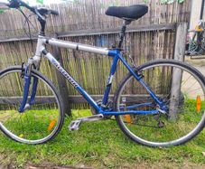 Hybrid bike