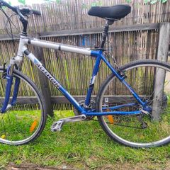 Hybrid bike