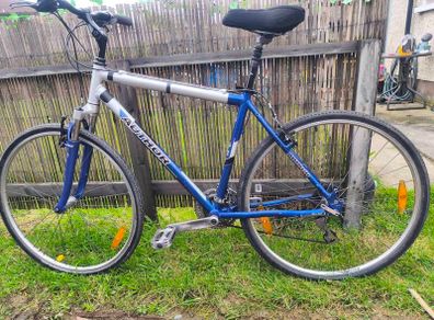 Hybrid bike