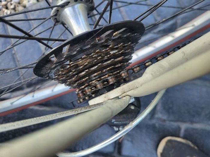 Ladies Bike Ready To Use.no Offers