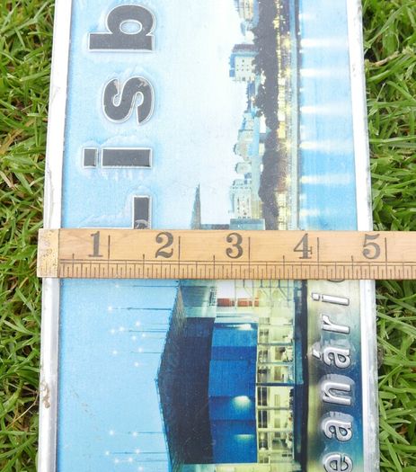 Vintage Wall Decor Car License Plaque Poster (20 each)