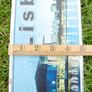 Vintage Wall Decor Car License Plaque Poster (20 each) Image 6