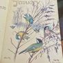 1980 Hardback Edition The Country Diary of An Edwardian Lady 1906 Image 2