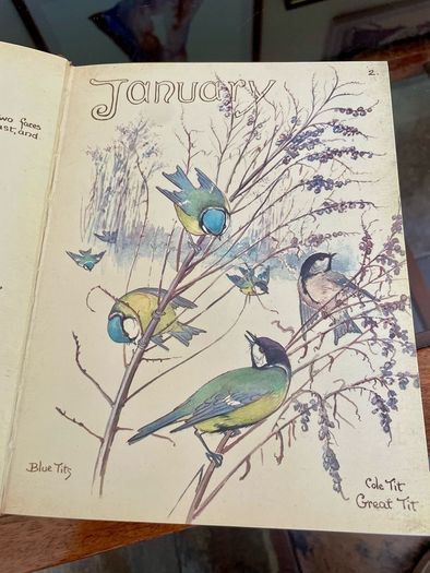 1980 Hardback Edition The Country Diary of An Edwardian Lady 1906