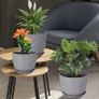 Plant pots, New Image 3