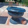 garden Image 3