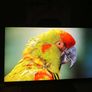 55"lg Smart Tv 4k Image 4