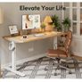 Electric Height Adjustable Standing Desk, 60x100cm Image 6