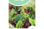 HT Baby Leaf Lettuce Mix Seeds 3g | Sow in July (260301)