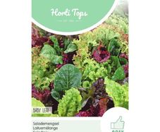 HT Baby Leaf Lettuce Mix Seeds 3g | Sow in July (260301)