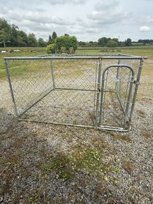Dog Cage