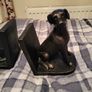 Bookends Image 2