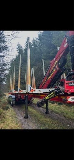 Dennison timber trailer