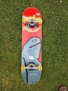 Pro Krooked Skateboard