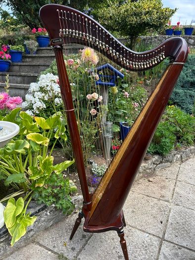 Aoyama 34 String Lever Harp