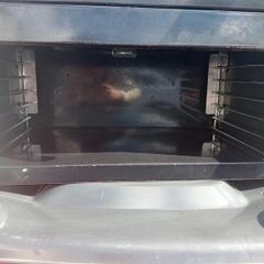 Gas Salamander