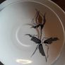 vintage East german porcelain 20 piece Image 4