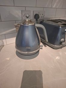 Delonghi metallic kettle