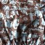 New H&M Boys Animal Jacket 2-4M Image 4