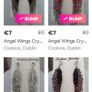 Angel Wings Crystal Earrings Image 2