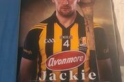 Jackie Tyrell Hurling The Warrior Code
