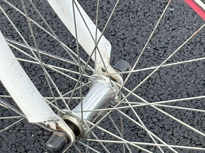 Popal dutch female city Bike