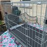 Dog Cage Image 3